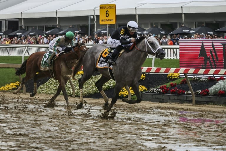 Jockey Jaime Torres riding Seize the Grey on the way to victory in the 149th Preakness Stakes (Samuel Corum)