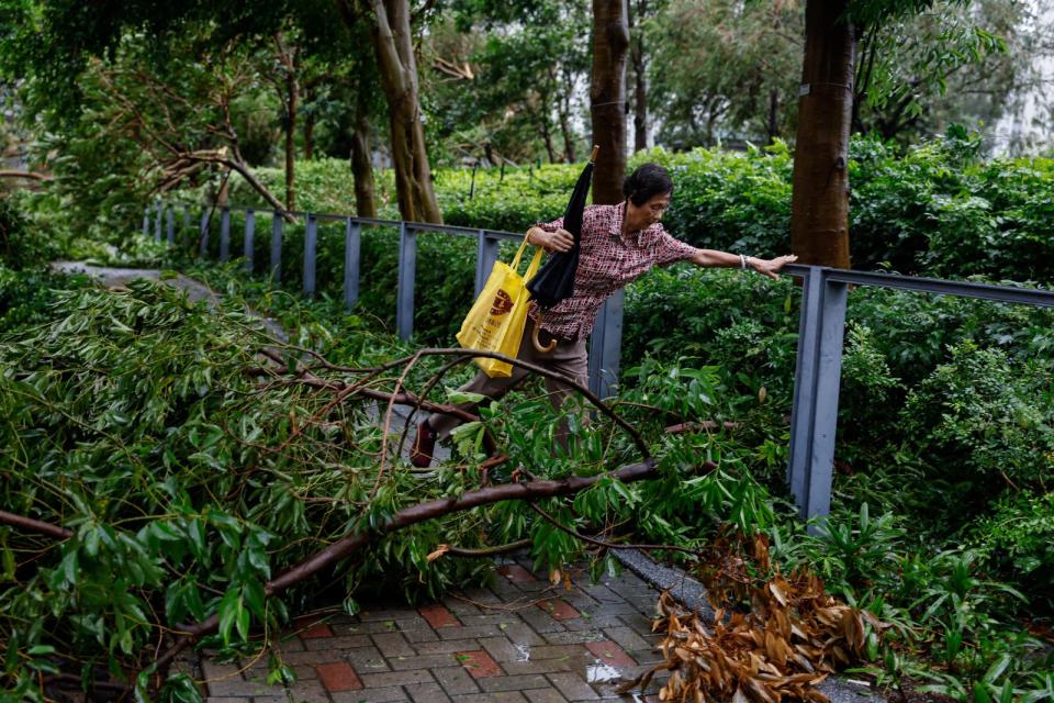 颱風蘇拉肆虐後的香港街頭到處是倒塌路樹，行人行走困難。路透社