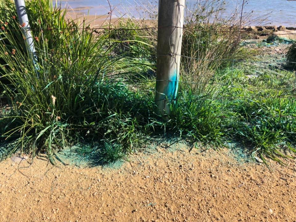 Pictured is a blue spray on the pole of a fence in Bayview. 