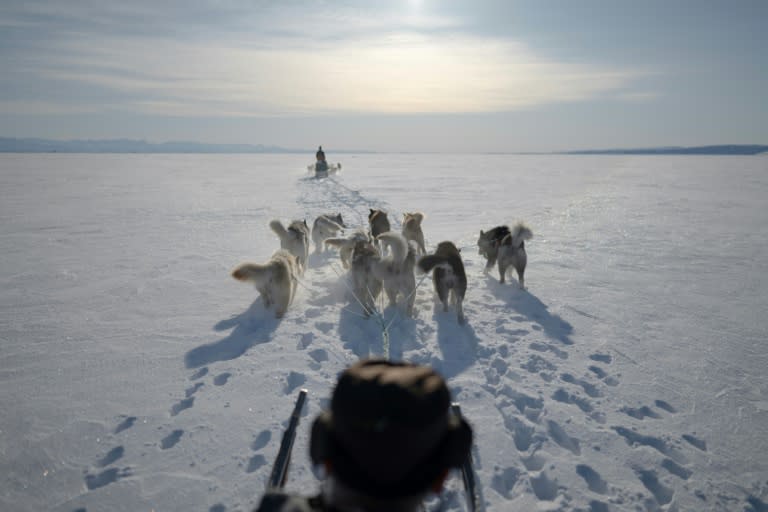 Legendary: Inuit polar bear hunter Hjelmer Hammeken rides his dog sled on the sea ice off Greenland (Olivier MORIN)