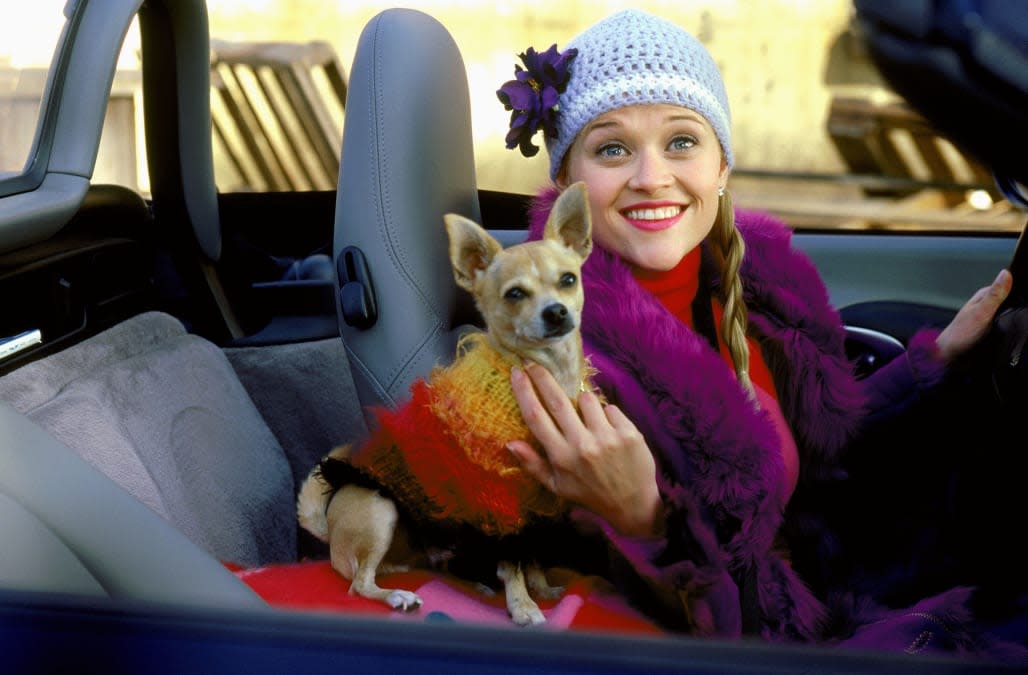 REESE WITHERSPOON & DOG LEGALLY BLONDE (2001)