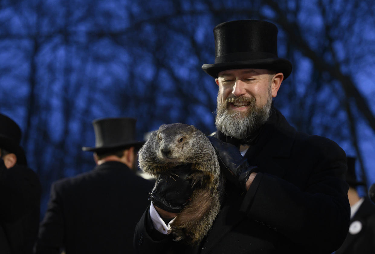 Punxsutawney Phil, ici lors du « jour de la marmotte », aux États-Unis, vendredi 2 février. 