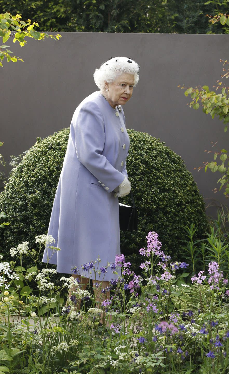 <p>In 2012, the Queen was presented with a brooch from the Royal Horticultural Society to commemorate her Diamond Jubilee.<br></p>