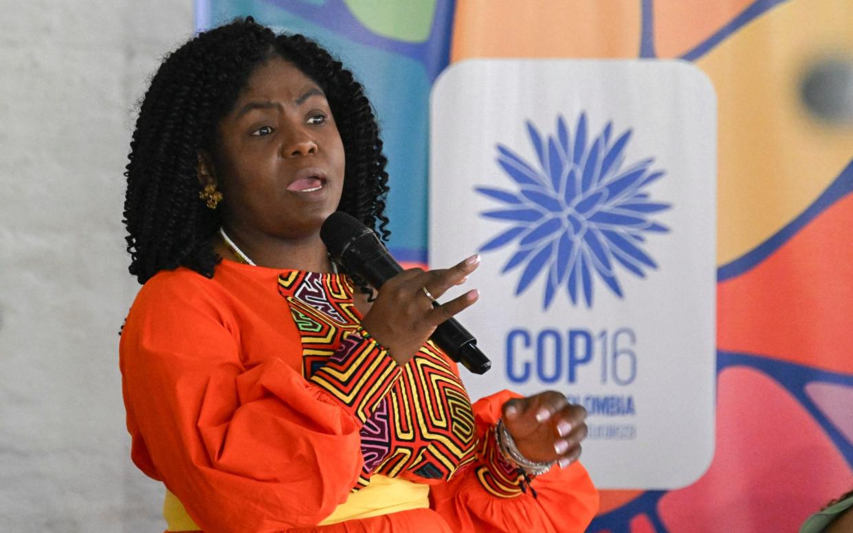 Colombian vice president Francia Marquez speaks during a preparatory meeting with local authorities for October's COP16 Summit