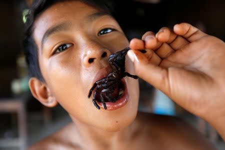 A boy eats a fried tarantula at his home in Kampong Cham province in Cambodia, April 19, 2017. Picture taken April 19, 2017. REUTERS/Samrang Pring