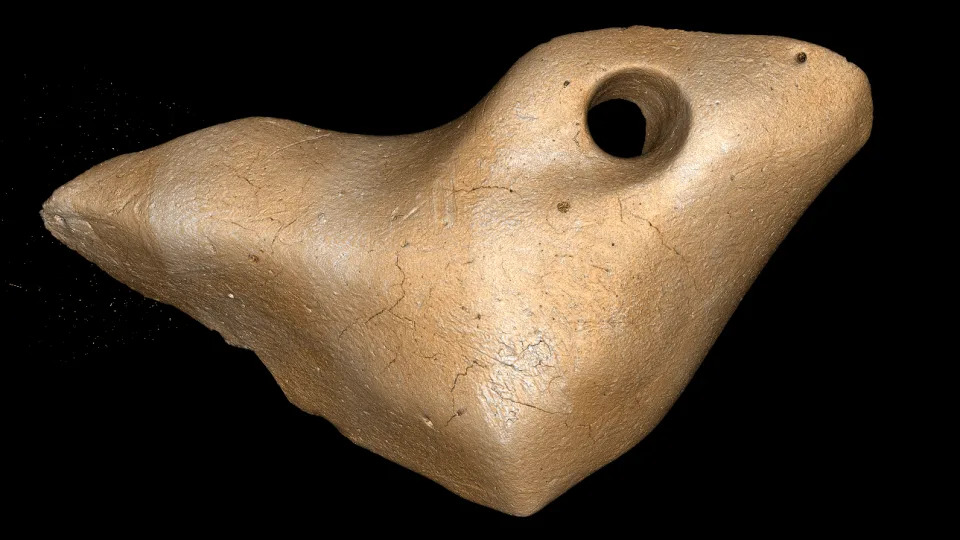 We see a heart-shaped bone with a round hole on the top right against a black background.
