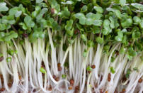 Add: Broccoli sprouts Sulforaphane, found in baby broccoli, fires up enzymes that may stop breast-cancer cells from growing. Johns Hopkins University researchers discovered that broccoli sprouts have up to 20 times as much of this compound as fully grown plants. Pimp your sandwiches and salads with 1/2 cup of robustly flavored broccosprouts--developed by scientists at Johns Hopkins. A one-ounce serving contains 73 milligrams of the naturally occurring precursor of sulforaphane. More from Women's Health: Drastically reduce your risk for four diseases that strike women Learn how to Nix a Stuffy Nose Your Body On...Meditation What Your Hair Color Says about Your Health Lose inches of belly fat and achieve any fitness goal YOU want!
