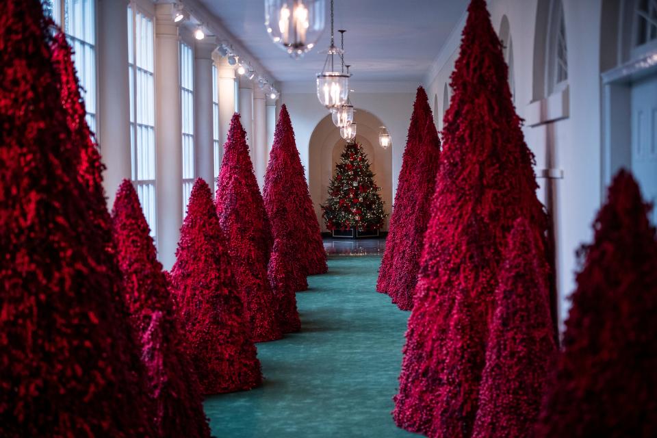 white house red trees