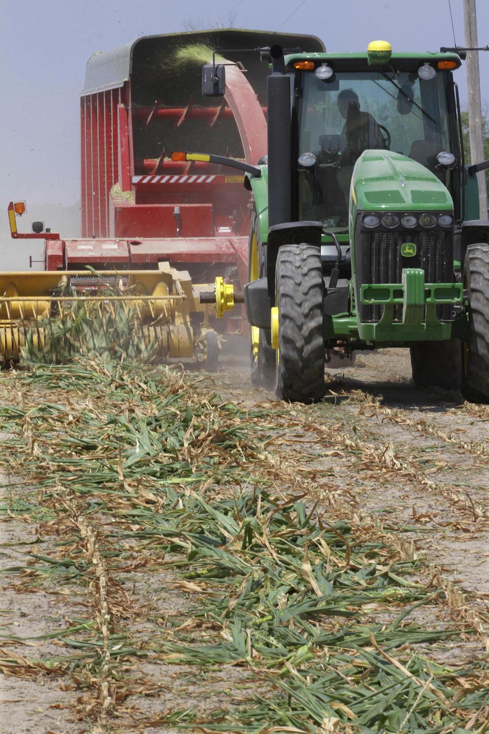 Steve Niedbalski chops down his drought and heat stricken corn for feed Wednesday, July 11, 2012 in Nashville Ill. Farmers in parts of the Midwest are dealing with the worst drought in nearly 25 years. (AP Photo/Seth Perlman)