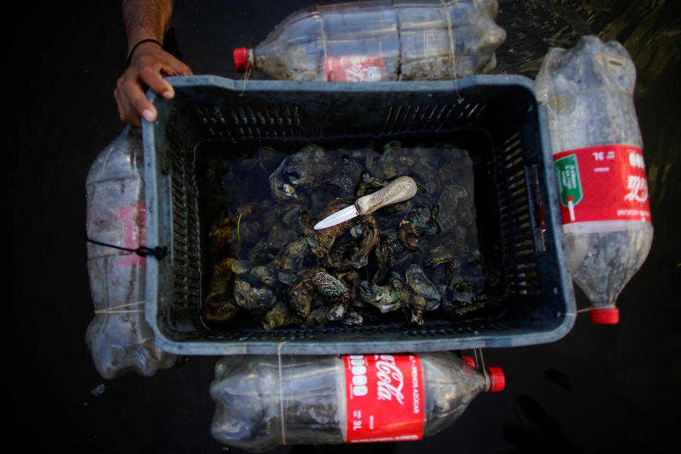 An improvised floating box used to store oysters