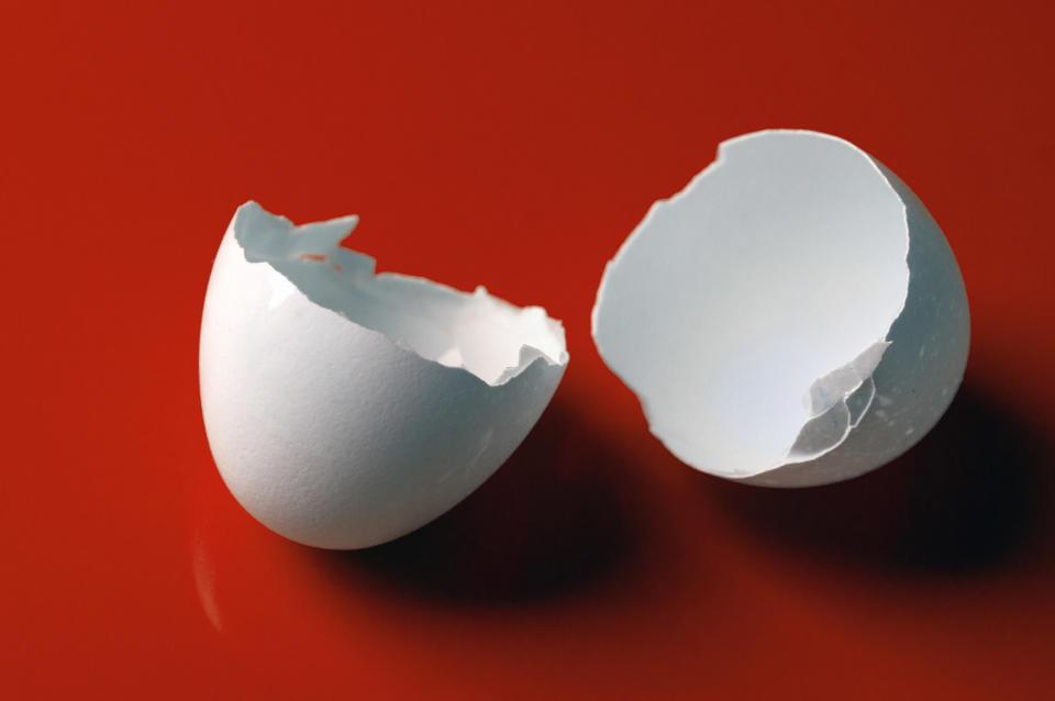 egg shell