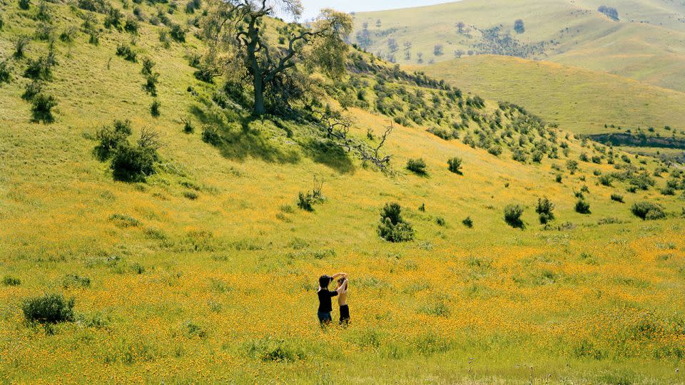 Kurland reconsiders what conventional family portraits look like, and who, historically, is considered an explorer of the West. - Justine Kurland