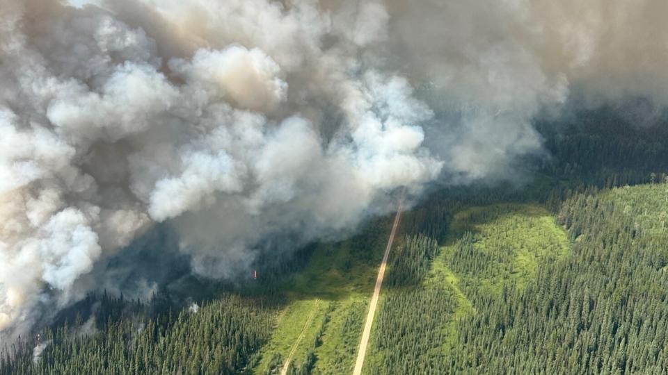  An aerial photo of a massive cloud of smoke over a forest. 