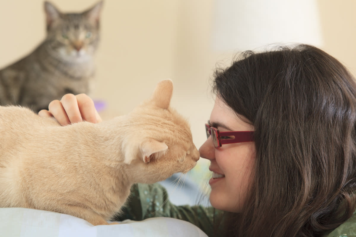 Why Cats Sniff Your Face