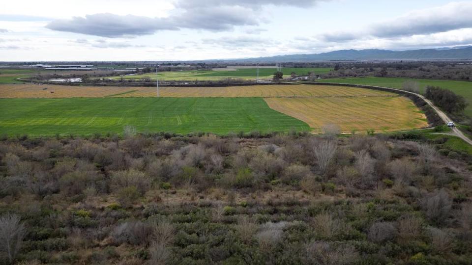 The Hidden Valley floodplain restoration project is adjacent to a restored section of Dos Rios, in the foreground, west of Modesto, Calif., Thursday, Feb. 29, 2024. The nonprofit River Partners is restoring Hidden Valley on a contract with the California Department of Water Resources.