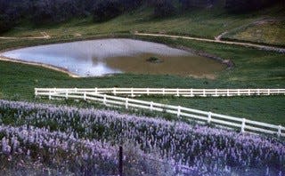 Patti Davis' family's Malibu, California, ranch in the late 1950s.