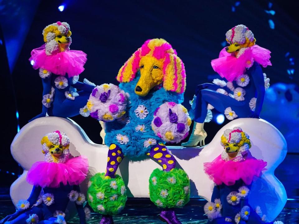 Tom Chaplin, pictured in his Poodle costume during ‘The Masked Singer' (ITV)