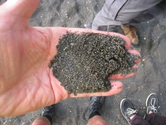 Small green olivine crystals on a Big Island beach.