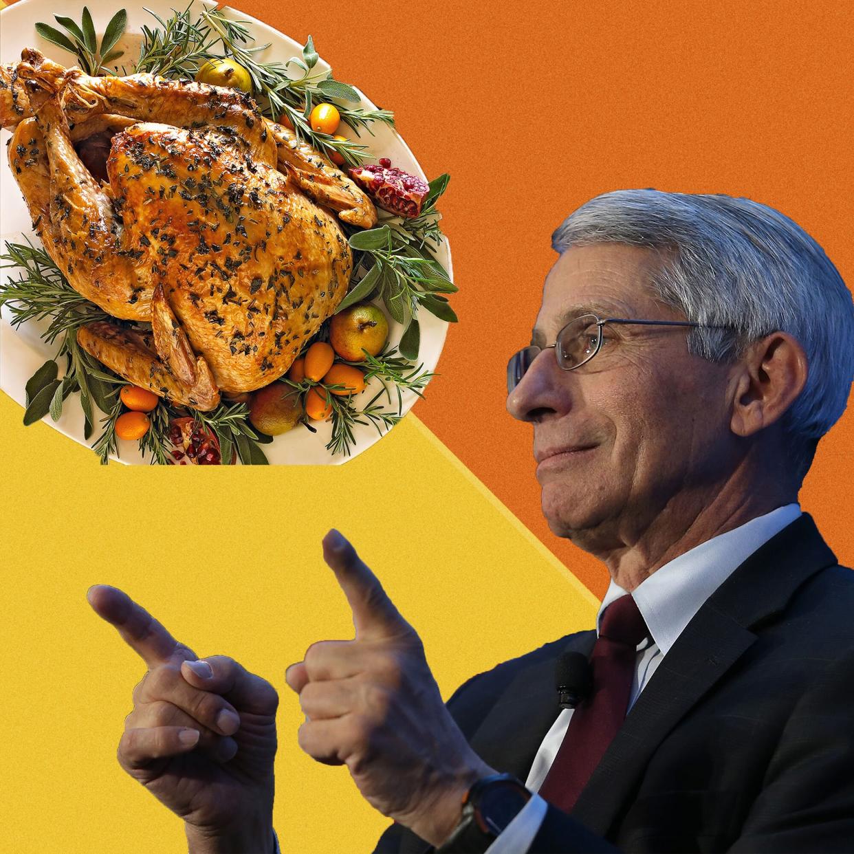 dr fauci thanksgiving