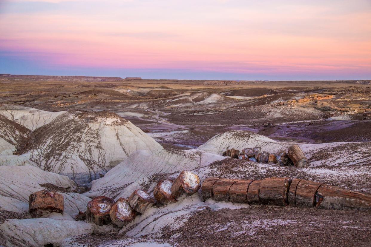 A petrified log, fractured over time, rests on the ground in Petrified Forest National Park's Crystal Forest.