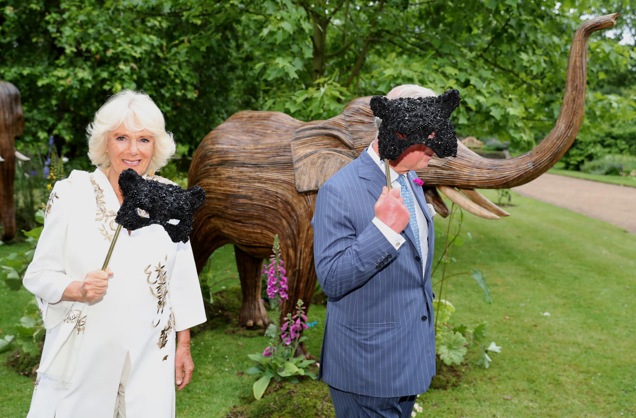 LONDON, ENGLAND - JUNE 13:  Camilla, Duchess of Cornwall and Prince Charles, Prince of Wales hold face masks as they host a reception for the Elephant Family Animal Ball at Clarence House on June 13, 2019 in London, England. Elephant Family is an international NGO dedicated to protecting the Asian elephant from extinction in the wild. (Photo by Chris Jackson - WPA Pool/Getty Images)