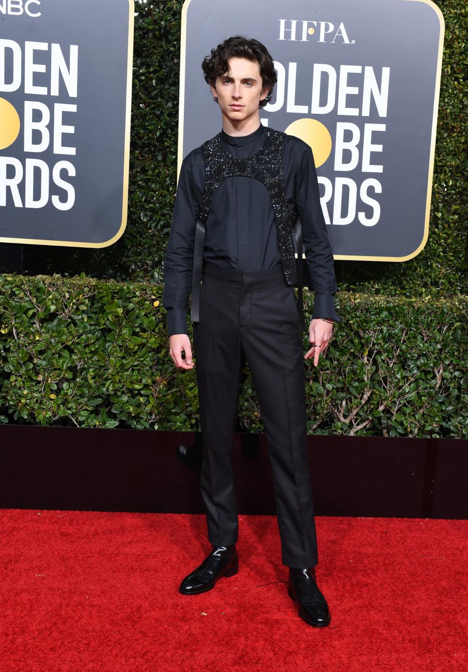 Timothée Chalamet wears a sequinned harness by Louis Vuitton at the 2019 Golden Globe Awards. (Image via Getty Images)