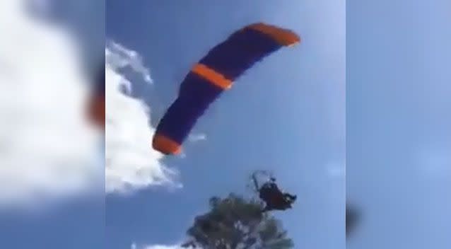 The stunt brought the pilot perilously close to the trees. Photo: Screenshot