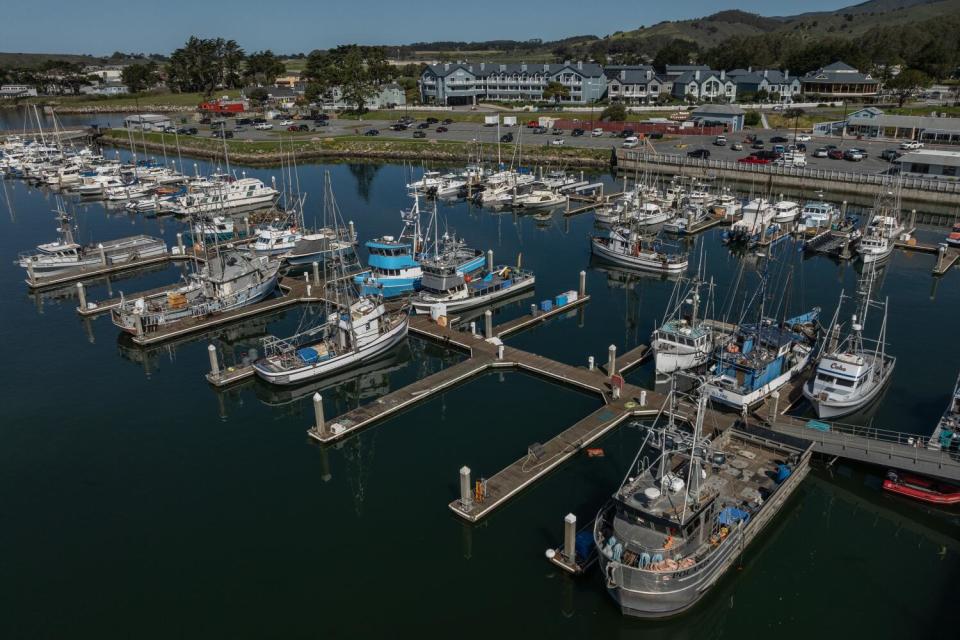 A fishing boat motors out from Pillar Point Harbor, where other boats sit.