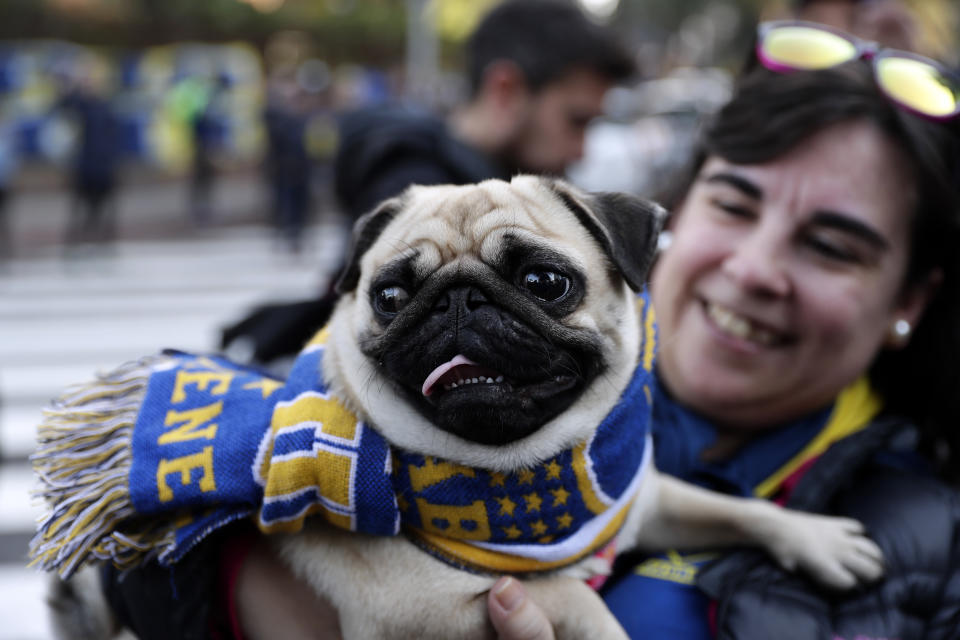 A woman holds a dog wearing a Boca Juniors scarf during a gathering of Boca Juniors supporters outside the team hotel in Madrid Saturday, Dec. 8, 2018. The Copa Libertadores Final between River Plate and Boca Juniors will be played on Dec. 9 in Madrid, Spain, at Real Madrid's stadium. (AP Photo/Manu Fernandez)