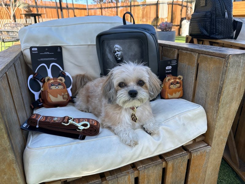 Loungefly Pets Star Wars Ewok