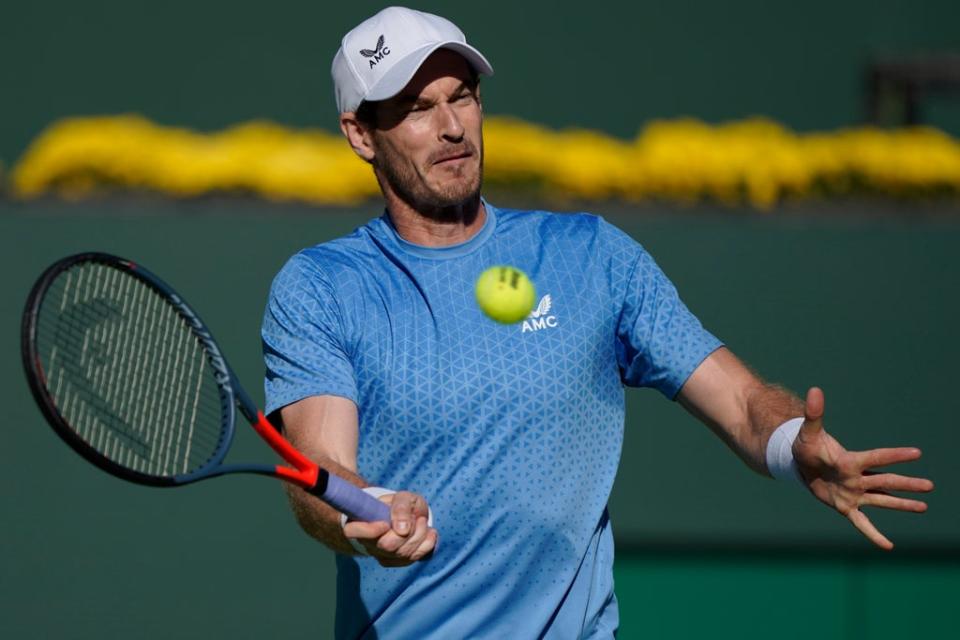 Andy Murray was a second-round casualty at the European Open (Mark J Terrill/AP) (AP)