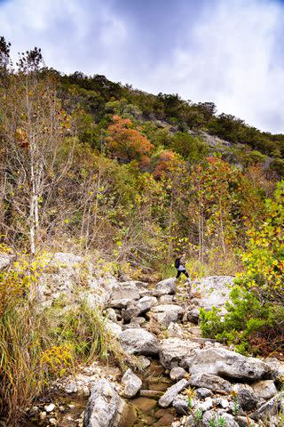 BROWN W. CANNON III Set out on the Maple Trail in Lost Maples State Natural Area to see fall foliage.