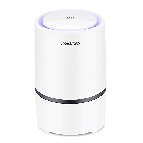 Rigoglioso HEPA Air Purifier (Amazon / Amazon)