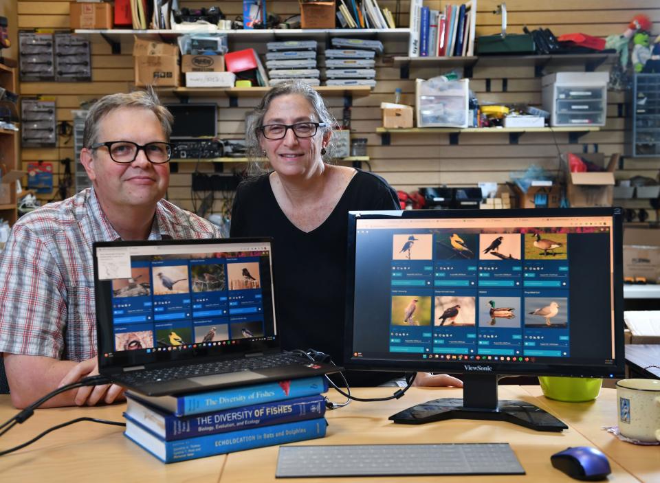 David Mann and Amy Donner owners of Loggerhead Instruments, have used their expertise in animal acoustics to create Haiku Box, an device that uses artificial intelligence to identify birds by their songs and calls. Mann and Donner were photographed in their Sarasota lab. The computer monitors show photos of birds identified by Haiku Box. 