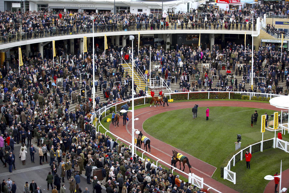 Horses in the parade ring ahead of the JCB Triumph Hurdle during day four of the Cheltenham Festival at Cheltenham Racecourse in Cheltenham, England, Friday, March 13, 2020. (Tim Goode/PA via AP)