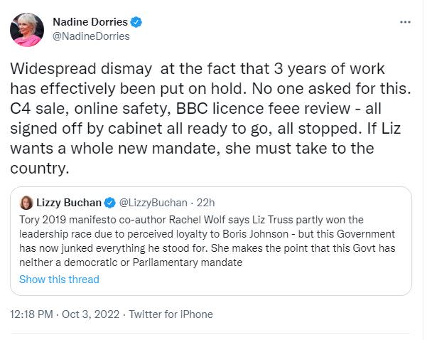 Nadine Dorries has blasted the PM for putting 'on hold' policies she had actioned while culture secretary (Twitter/Nadine Dorries)