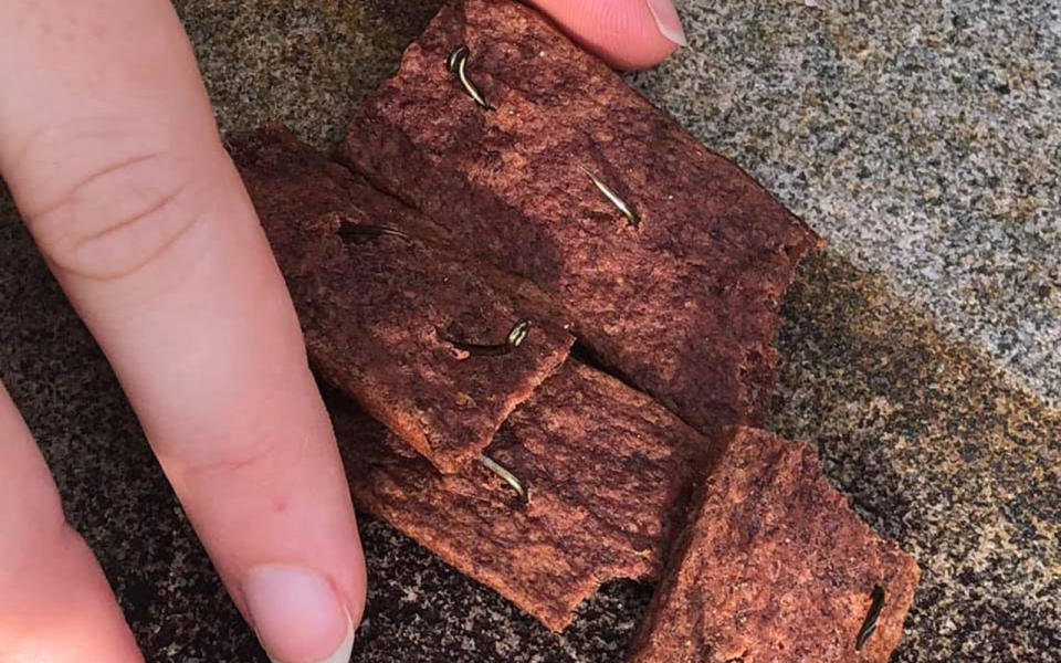 A series of fish hooks and nails were found hidden in the dog treats. Source: Facebook/Bibi Kennedy