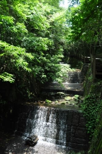 苗栗溫泉秘宿 泰安觀止溫泉會館