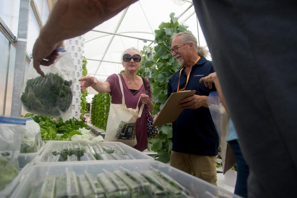 Managers with the Switchpoint Community Resource Center in St. George entertained a crowd on Thursday as they celebrated their first harvest with a ribbon-cutting and tours at the new RISE Community Garden, a grant-funded venture that endeavors to grow fresh food in a water-efficient way for southern Utah residents in need.