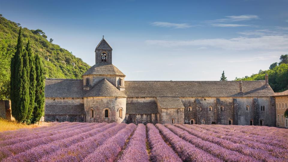 Abbeye de Senanque Lavender Field Provence in Summer France