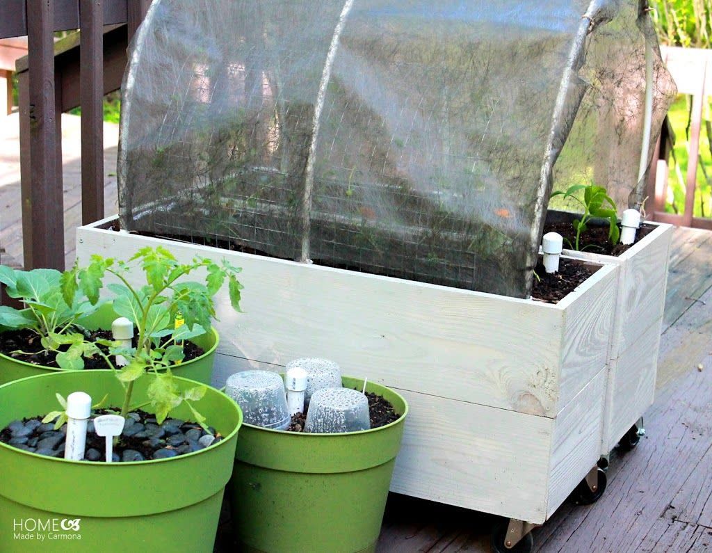 raised bed ideas shade