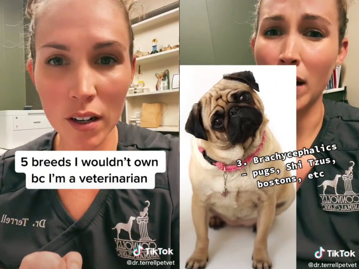 Dr Whitney Terrell, a veterinarian in Alabama, shared the dog breeds she would never own on TikTok (TikTok/Dr Terrell Pet Vet)