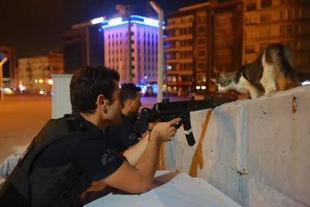 A cat looks on as a policeman aims his weapon during an attempted coup, in Istanbul, Turkey July 16, 2016. REUTERS/Kemal Aslan