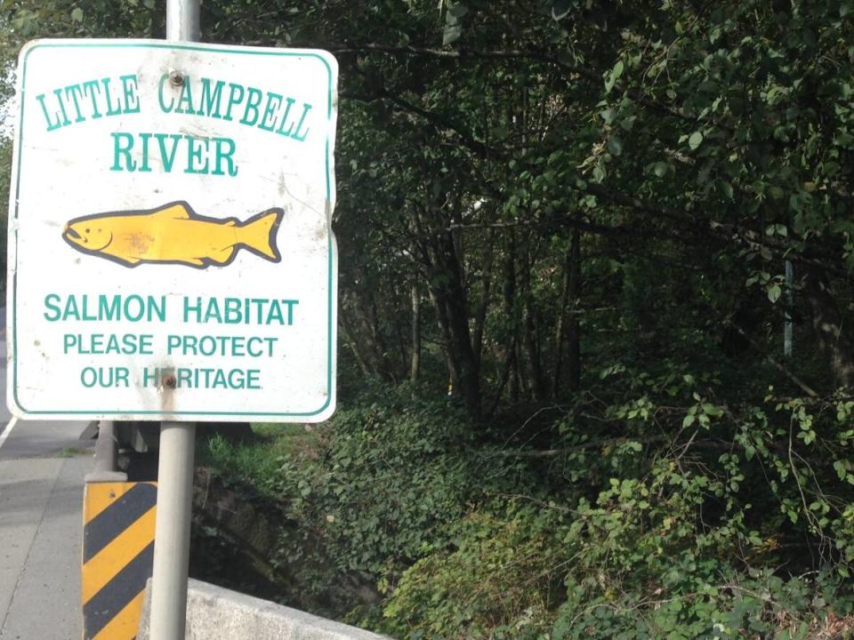 Critics say the proposed site is too close to the Little Campbell River. (Jesse Johnston/CBC - image credit)