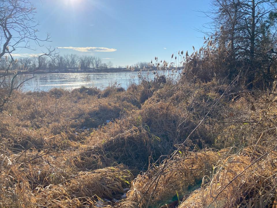 The marsh and shoreline of the West Harbor Preserve area.