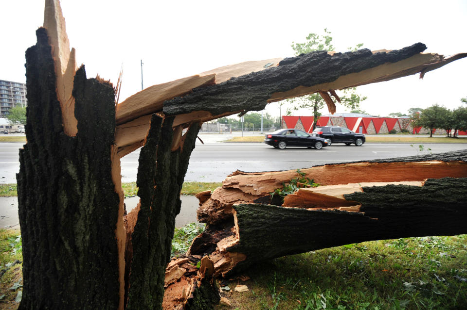 Cars drive past an old tree left in splinters on the ground in Detroit on July 5, 2012, after violent storms ripped through the area Thursday morning. DTE Energy Co. says about 200,000 of its customers were without power Thursday morning after a new round of damaging thunderstorms made its way across the state, knocking down trees and power lines. (AP Photo/Detroit News, Brandy Baker) DETROIT FREE PRESS OUT; HUFFINGTON POST OUT. NO MAGS. NO SALES. MANDATORY CREDIT