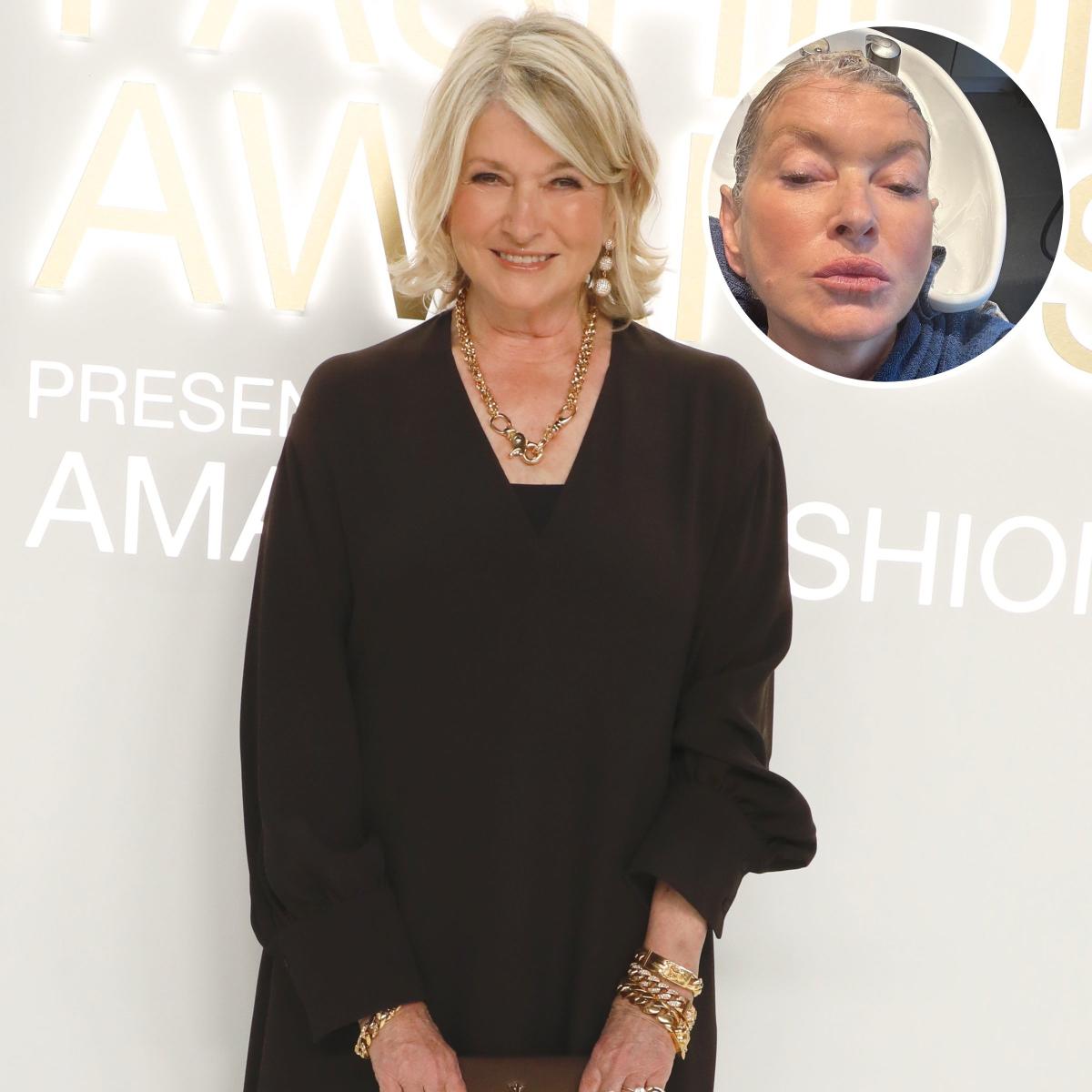 Did Martha Stewart Get Plastic Surgery See Age Defying Selfies   9db661e519c8c94c8149dbfbfa0af1b3