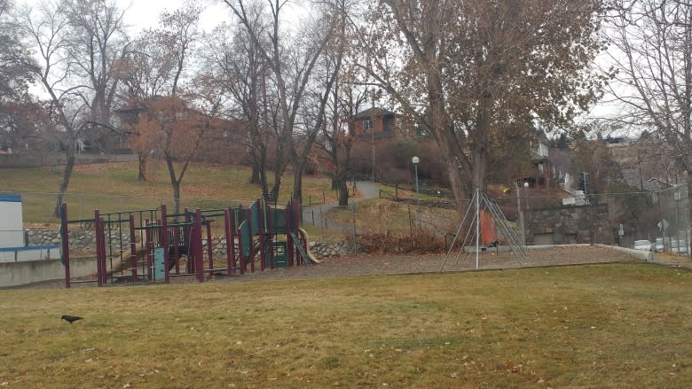 Neighbours of temporary shelter finding needles, human feces on nearby playground