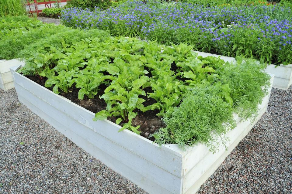 <p>Offset lush green plants with a light-colored wooden box for visual interest. Pick up a few: one for vegetables, one for fruits and one for flowers. </p><p><strong>RELATED: </strong><a href="https://www.goodhousekeeping.com/health/diet-nutrition/g28511617/healthiest-fruits/" rel="nofollow noopener" target="_blank" data-ylk="slk:The Healthiest Fruits You Can Eat, According to a Nutritionist;elm:context_link;itc:0;sec:content-canvas" class="link ">The Healthiest Fruits You Can Eat, According to a Nutritionist</a></p>