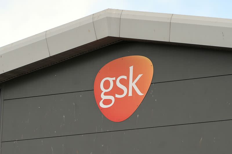 FILE PHOTO: A GlaxoSmithKline plant is seen in Montrose, Scotland, Britain